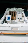 checkboot.com-continental-tiara-motorboot-260-ps-mercury-v8