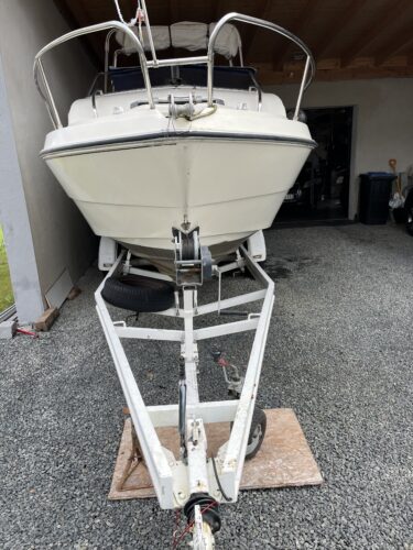 sealine195-fam