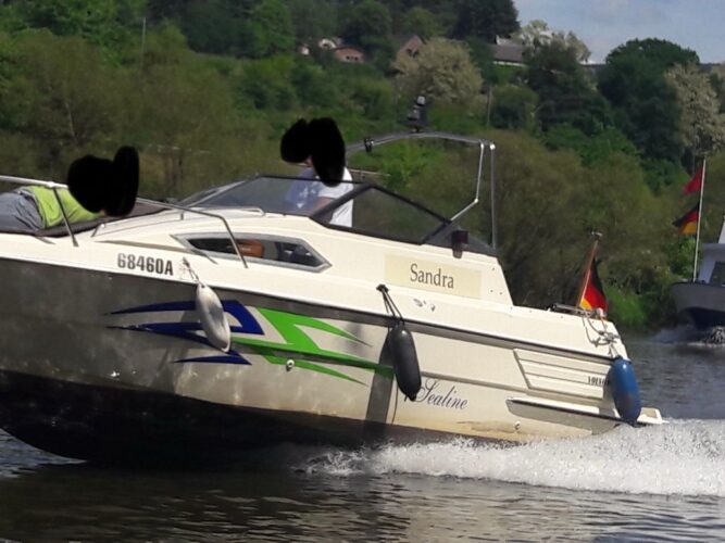 sealine195-fam
