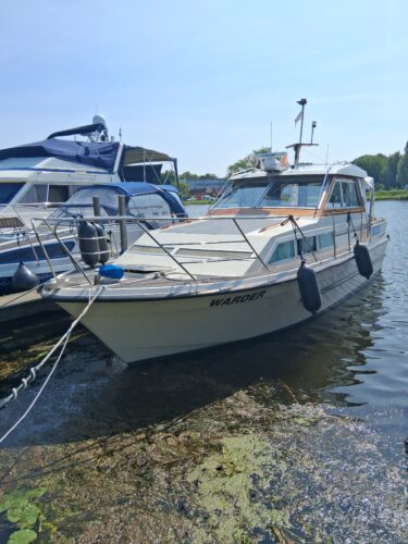 adler-31-biscay-einzelstueck