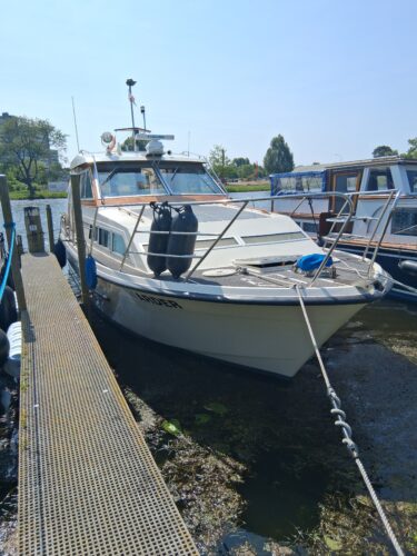 adler-31-biscay-einzelstueck