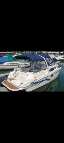 motorboot-kajuetboot-d3-diesel-bodensee