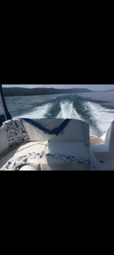 motorboot-kajuetboot-d3-diesel-bodensee