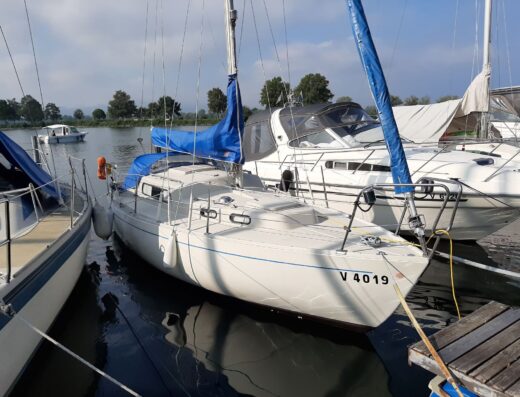 Segelboot Albin Vega 27