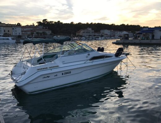 Sea ray 240D