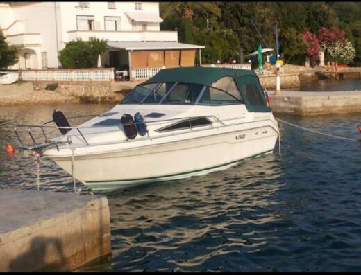 Sea ray 240D