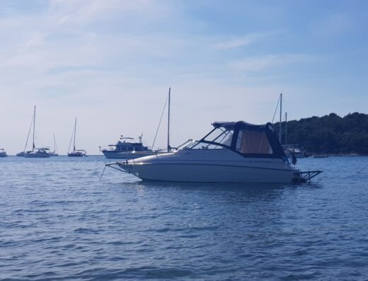 Glastron Boats Little Falls
