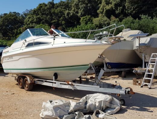 Sea ray 240D