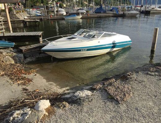 Motorboot Sportboot Monterey 206 SCR V6 Volvo Penta