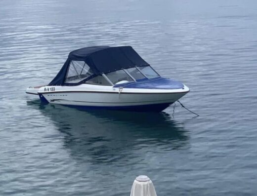 Bayliner BR 175