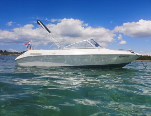 Bowrider Dynasty Elanti 171 BR mit Trailer, Mercruiser 3.0 LX