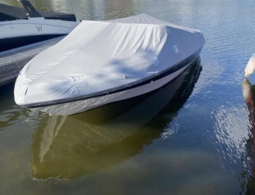Bowrider, Motorboot
