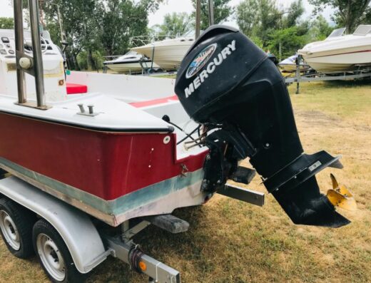 Center Console 5,5 Meter mit 60 PS  Mercury 4 Takt Motor
