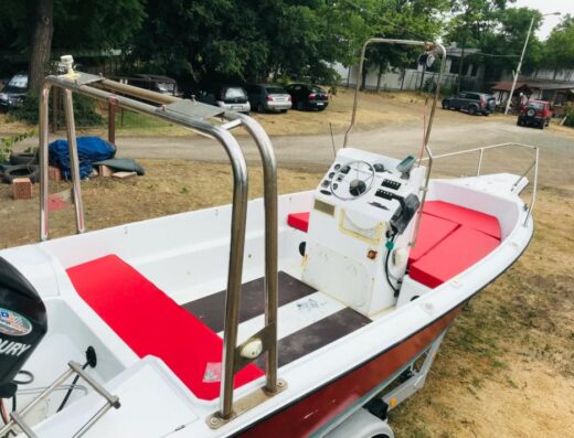 Center Console 5,5 Meter mit 60 PS  Mercury 4 Takt Motor