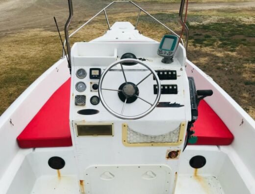 Center Console 5,5 Meter mit 60 PS  Mercury 4 Takt Motor