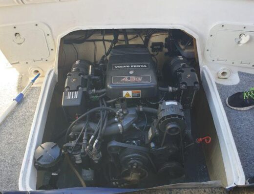 Lema Gold 2001 Volvo Penta Motor 4,3 / 6 Zylinder ( 2018 Neu )