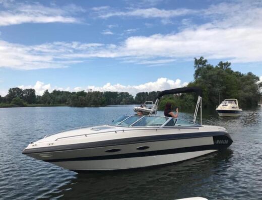 Schönes Sportboot mit Einspritzer Motor  350 mag npi