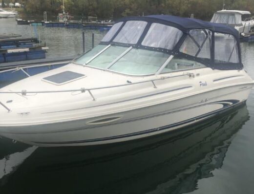 Sea Ray 215 inkl Trailer
