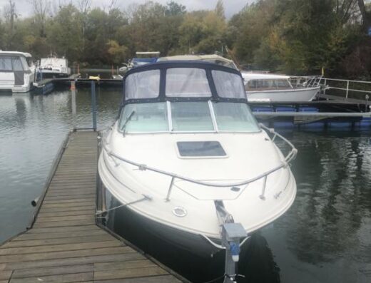 Sea Ray 215 inkl Trailer