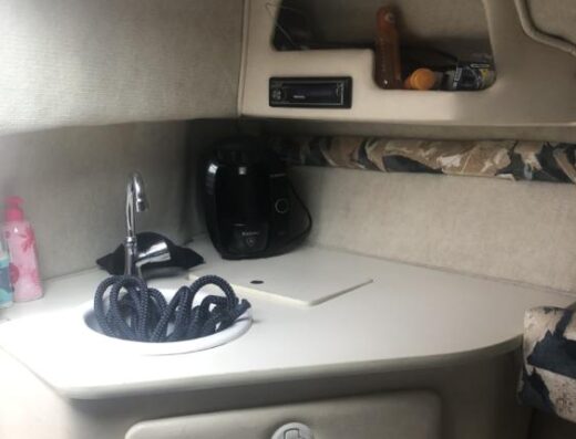 Sea Ray 215 inkl Trailer