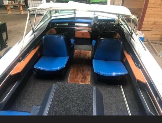 Sea Ray Sportboot Motorboot
