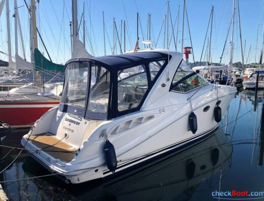 Sea Ray Sundancer 290 DA