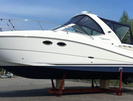Sea Ray Sundancer 290 DA