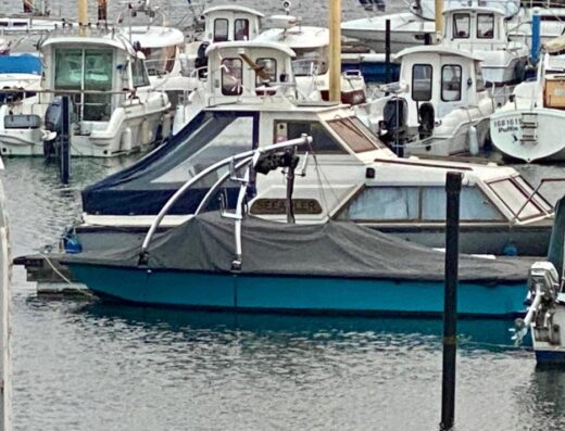 Ski Nautique 2001 Wakeboardboot Wasserskiboot inkl Trailer