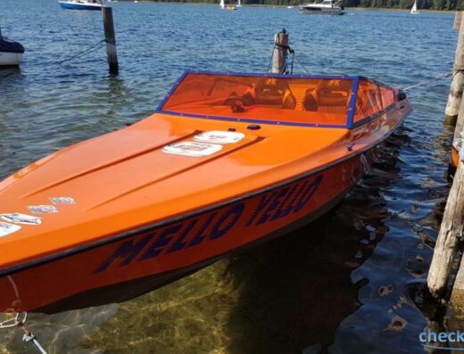 Sportboot Powerboot 21 Fuß V8