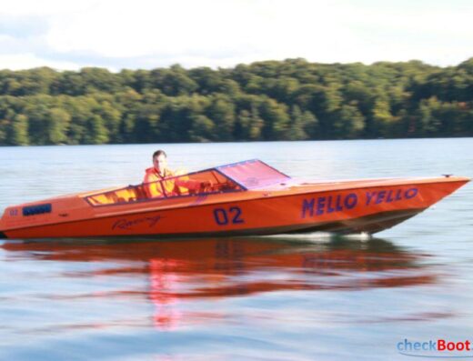 Sportboot Powerboot 21 Fuß V8