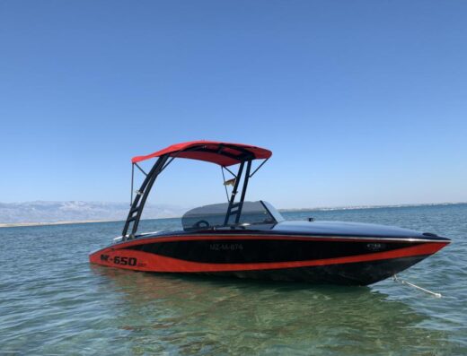 SPORTBOOT, RUNABOUT, WASSERSKI,HOLZBOOT,JET BOOT