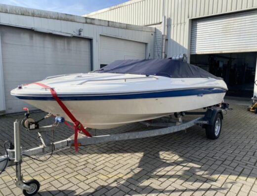 Sportboot Sea Ray 170 mit Trailer