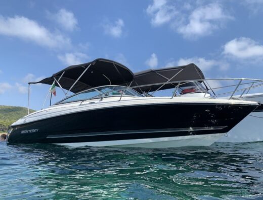 Top gepflegte Monterey 214/224 FSC Motorboot