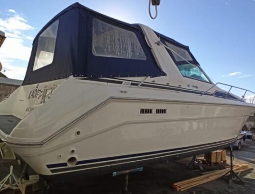 Top Sea Ray 350 / 370 2x 7,4 L 360 PS sehr gepflegter Zustand