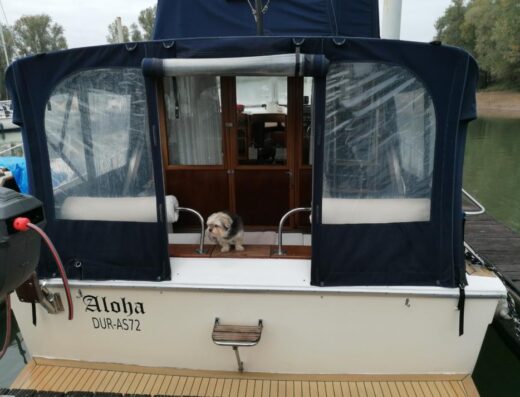Chris craft 33