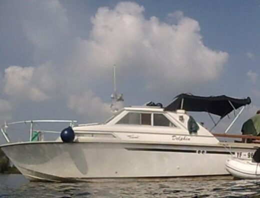 Coronet Family 26