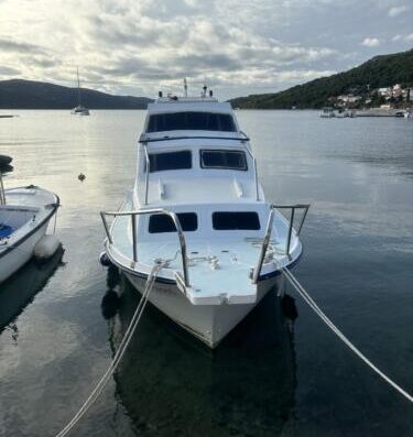 Galeb