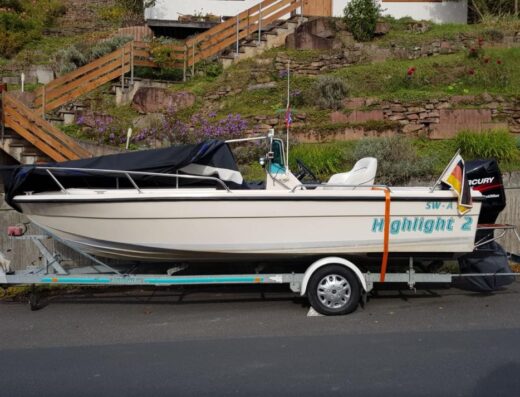Konsolenboot mit 225 PS, inkl. Trailer und viel Zubehör (Motorboot / Sportboot)