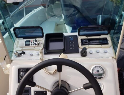 Konsolenboot mit 225 PS, inkl. Trailer und viel Zubehör (Motorboot / Sportboot)