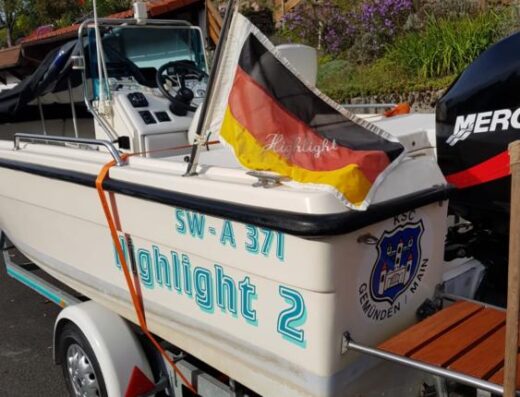 Konsolenboot mit 225 PS, inkl. Trailer und viel Zubehör (Motorboot / Sportboot)
