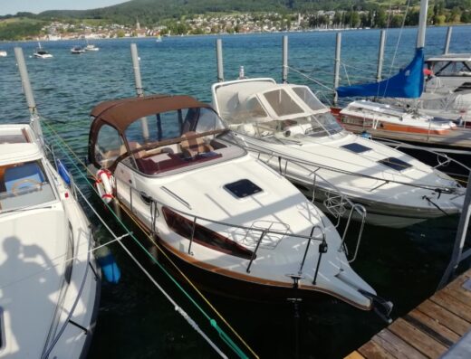 Minerva Aqualine 750 AM – Bodensee