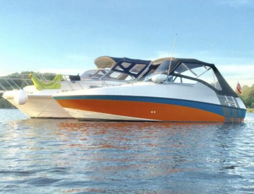 Motorboot Crownline 210 CCR
