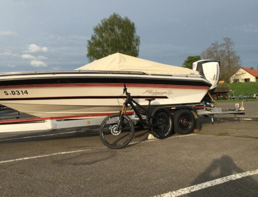 Motorboot, Sportboot, Sea Ray, 225PS Außenbordmotor Evinrunde G2