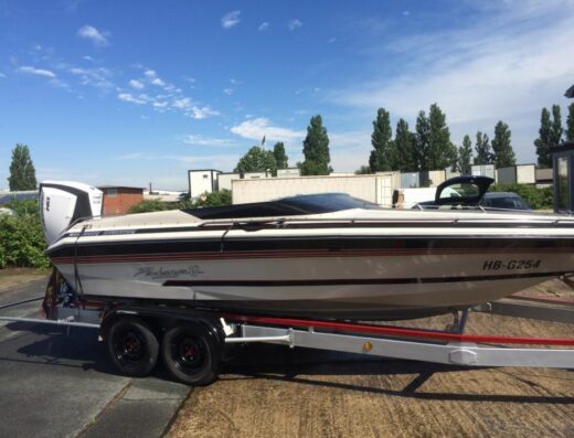 Motorboot, Sportboot, Sea Ray, 225PS Außenbordmotor Evinrunde G2