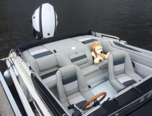 Motorboot, Sportboot, Sea Ray, 225PS Außenbordmotor Evinrunde G2