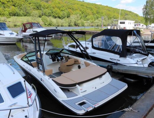 Sea Ray 190 SPXE auf Trailer, 250 PS, Tower, 2021, neu