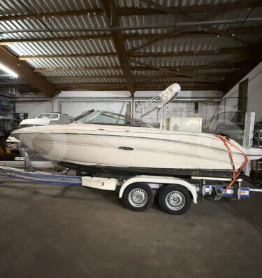 Sea Ray 200