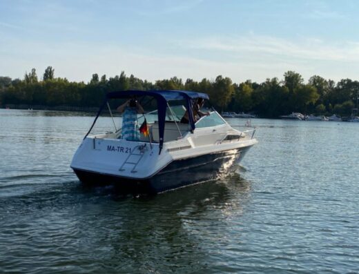 Sea Ray 220 DA