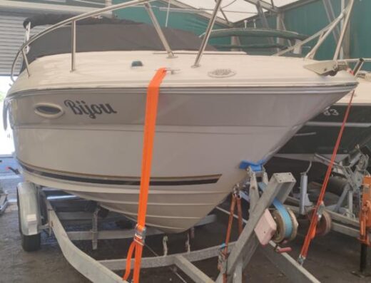 Sea Ray 225 WE inkl Trailer