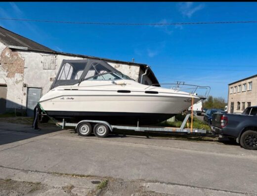 Sea Ray 230 DA